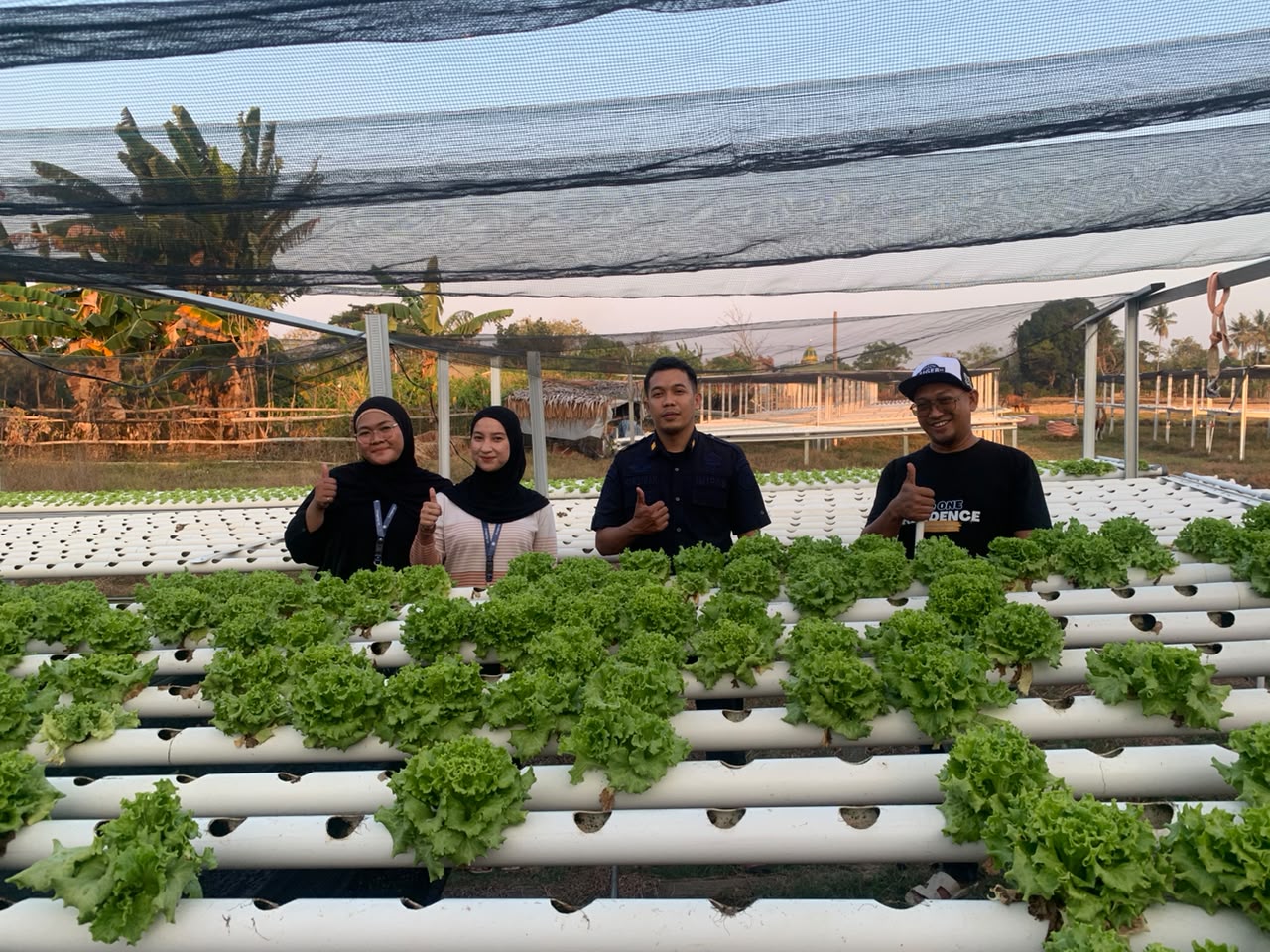 Dorong Produktivitas Giatja, Lapas Watampone Perdalam Budidaya Selada Hidroponik